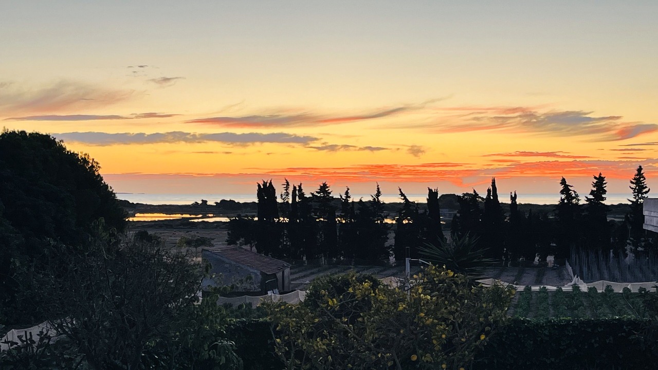 Photo of Outdoor in La Marina