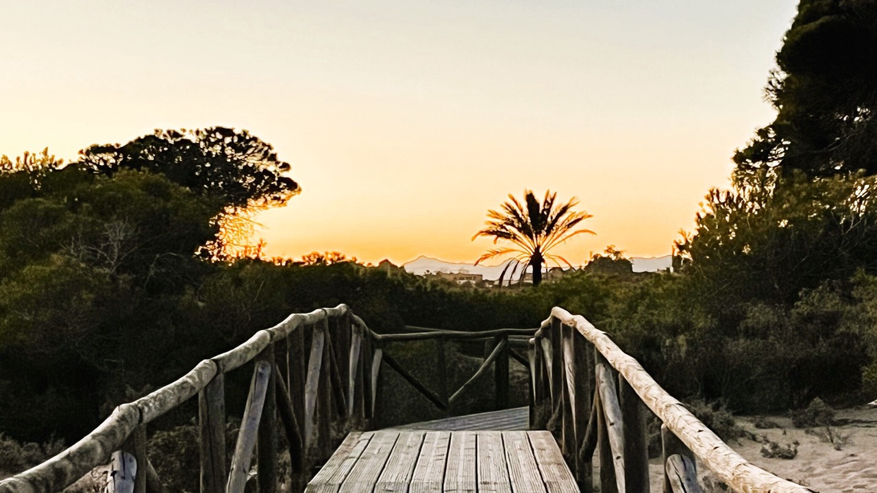 Photo of Outdoor in La Marina