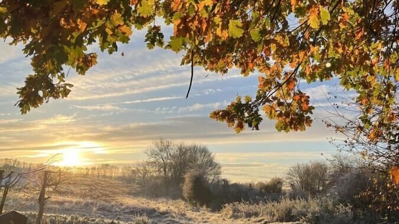 Photo of Others in Sudbury