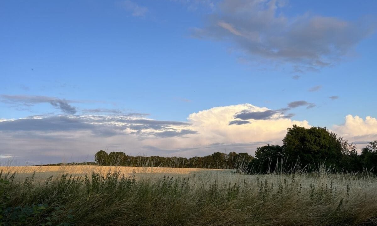 Photo of Others in Sudbury