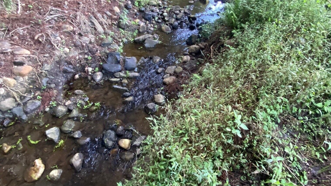 Photo of Outdoor in Running Creek