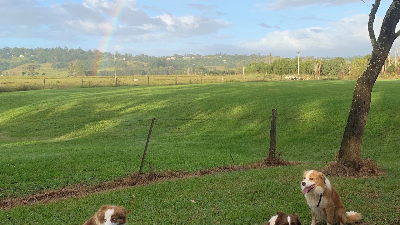 Photo of Others in Boat Harbour