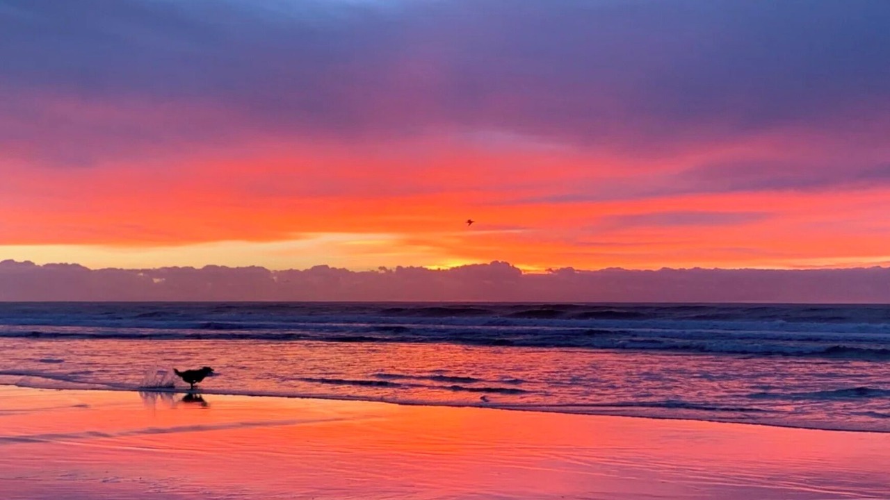 Photo of Others in Boat Harbour