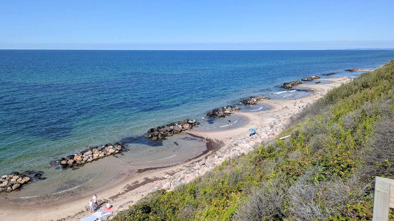 Photo of Others in Holloselund