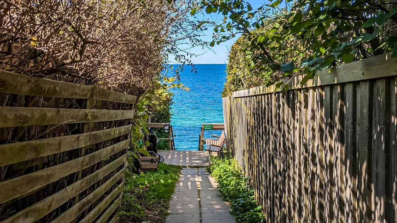 Photo of Others in Holloselund