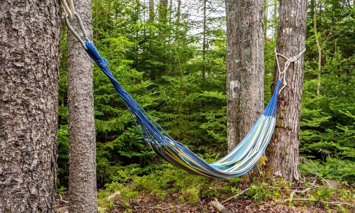 Photo of Others in Southwest Harbor