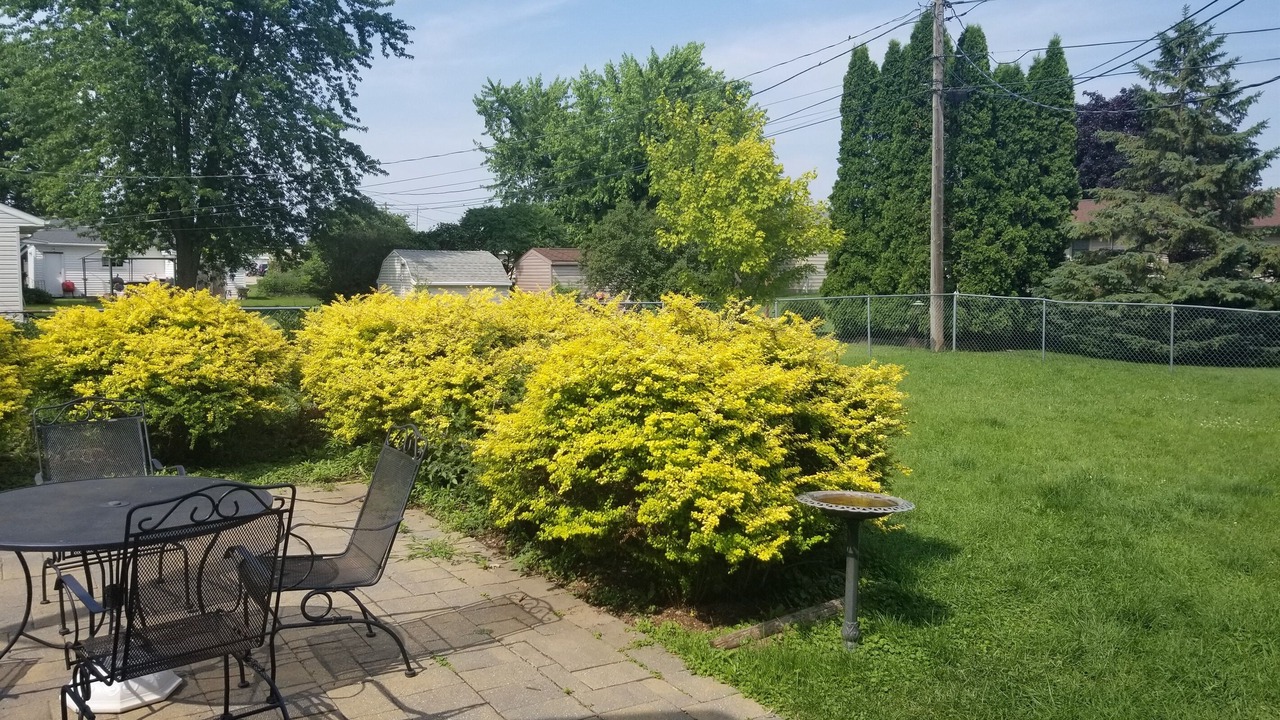 Photo of Outdoor in Menasha
