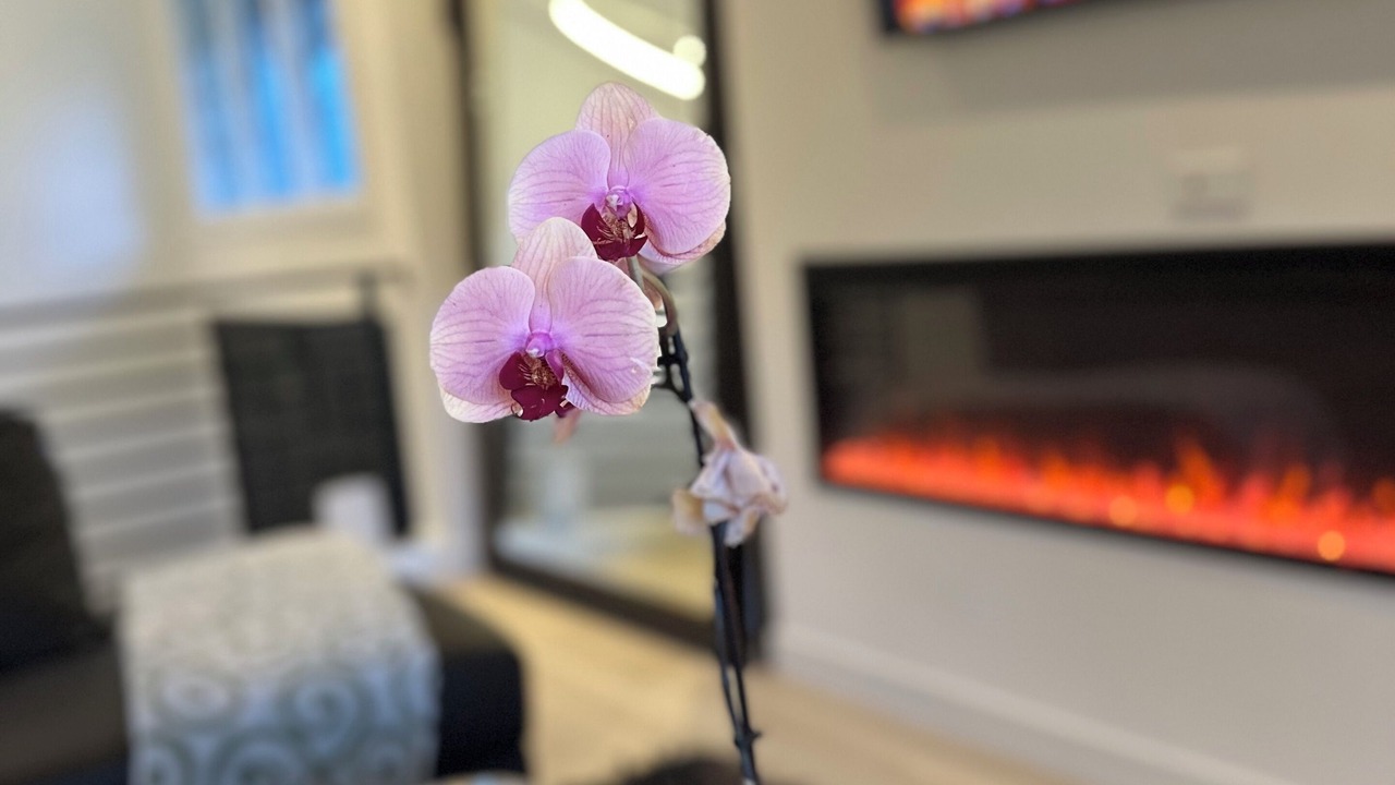 Photo of Others in Inglewood-Finn Hill