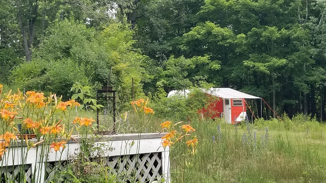 Photo of Outdoor in Tay Valley