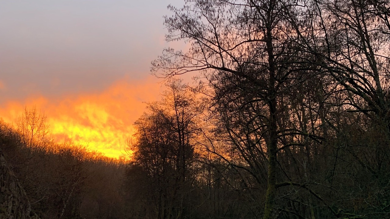 Photo of Bedroom in Chateau-Chinon