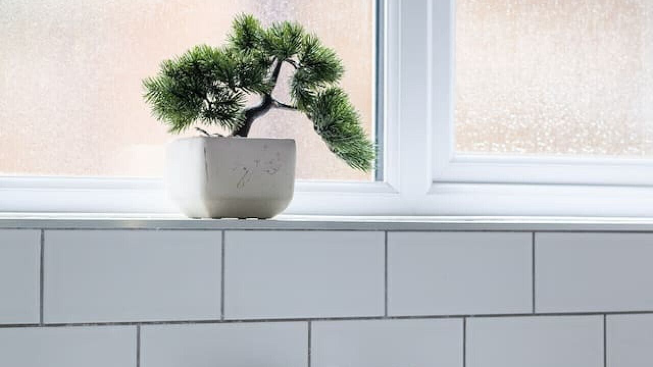 Photo of Others in West Ealing