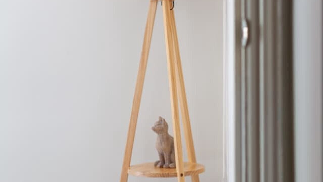 Photo of Others in West Ealing