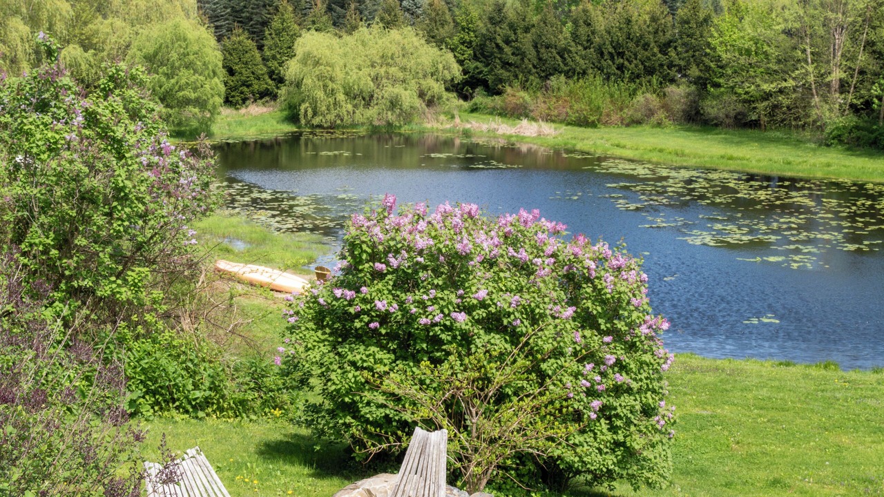 Photo of Outdoor in Town of Copake