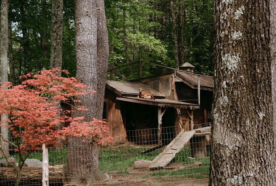 Photo of Outdoor in Kerhonkson