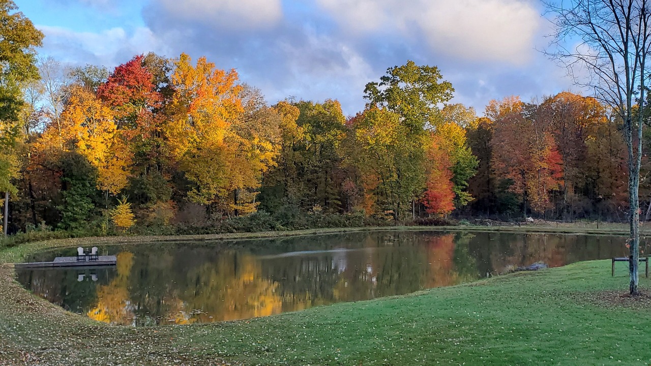 Photo of Outdoor in Kossuth