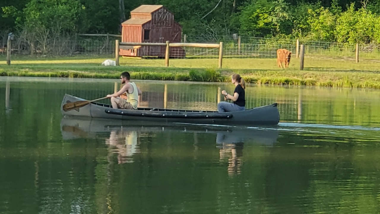 Photo of Others in Kossuth