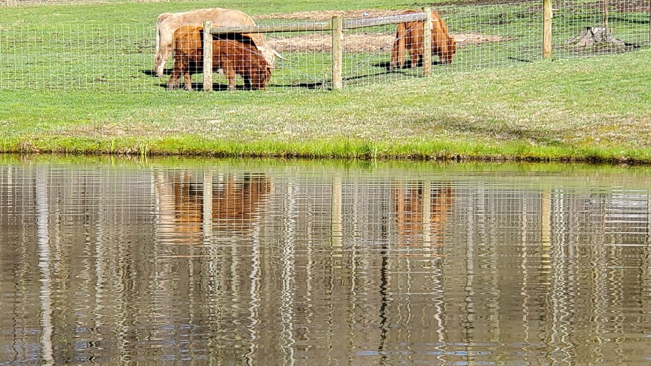 Photo of Outdoor in Kossuth
