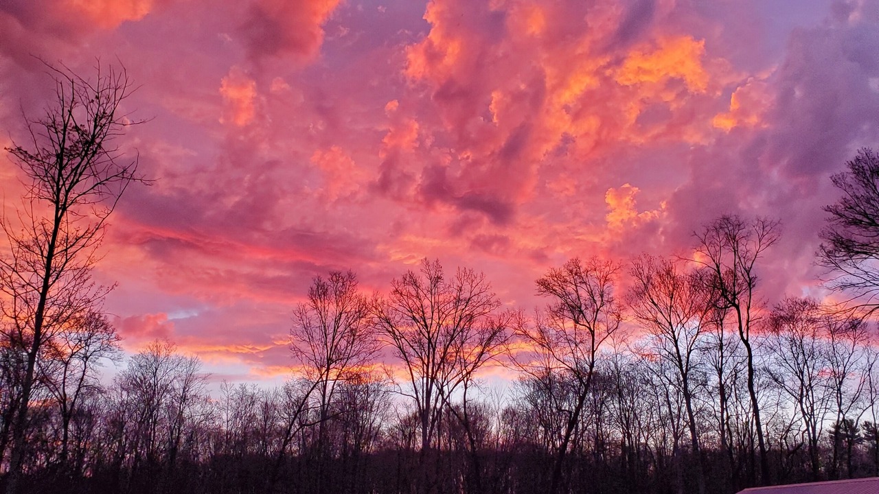 Photo of Outdoor in Kossuth