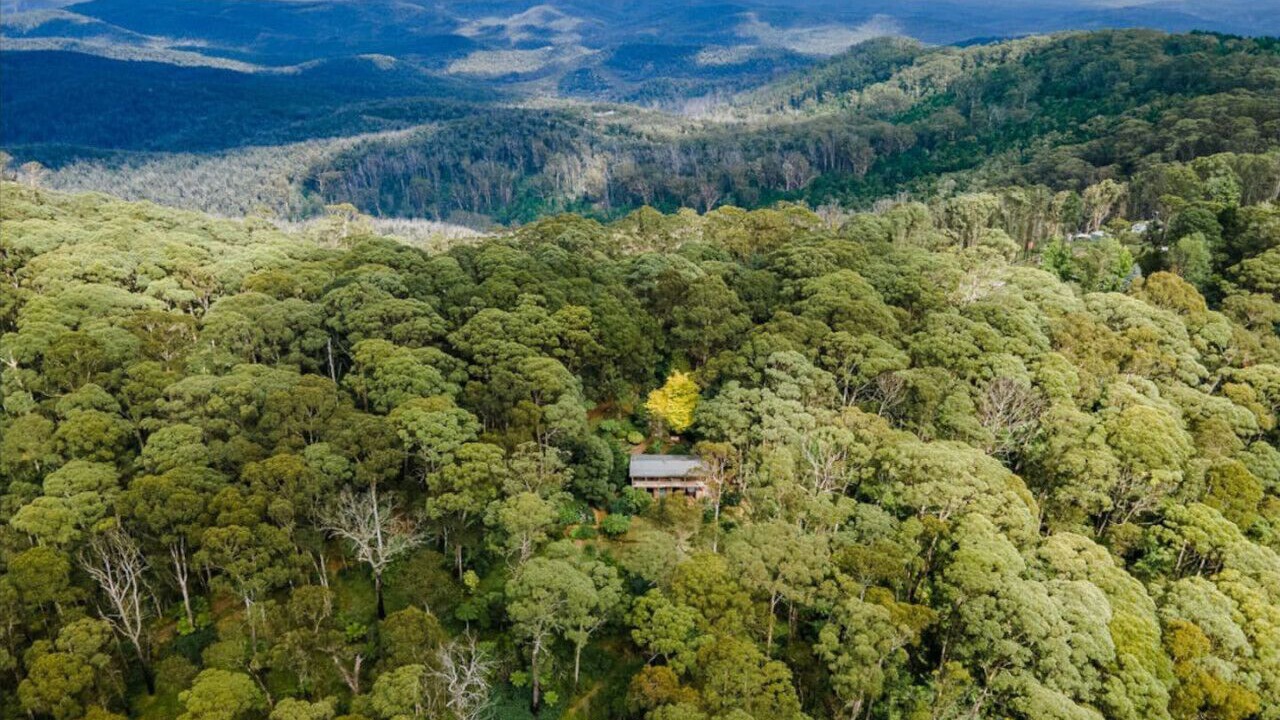 Photo of Outdoor in Mount Wilson