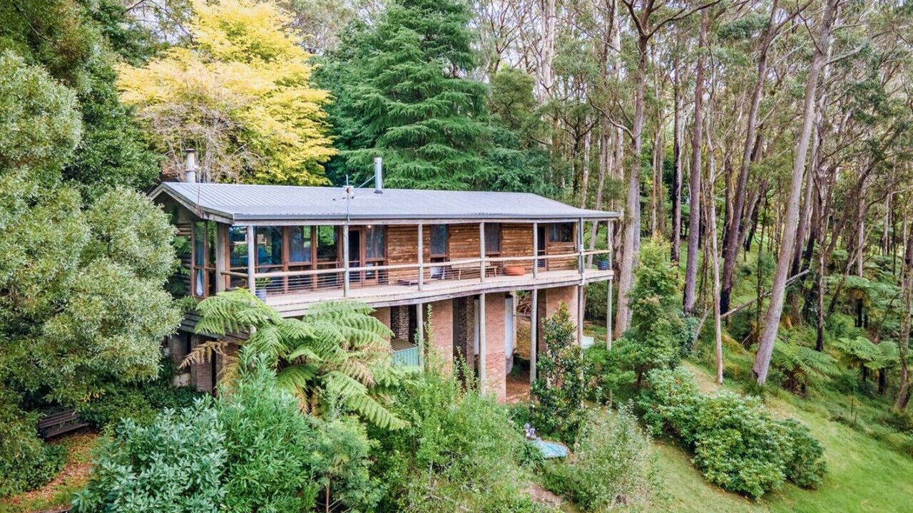 Photo of Outdoor in Mount Wilson