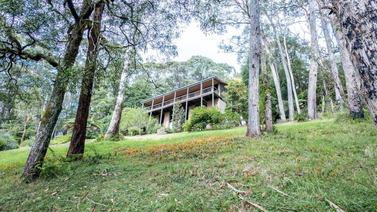 Photo of Outdoor in Mount Wilson