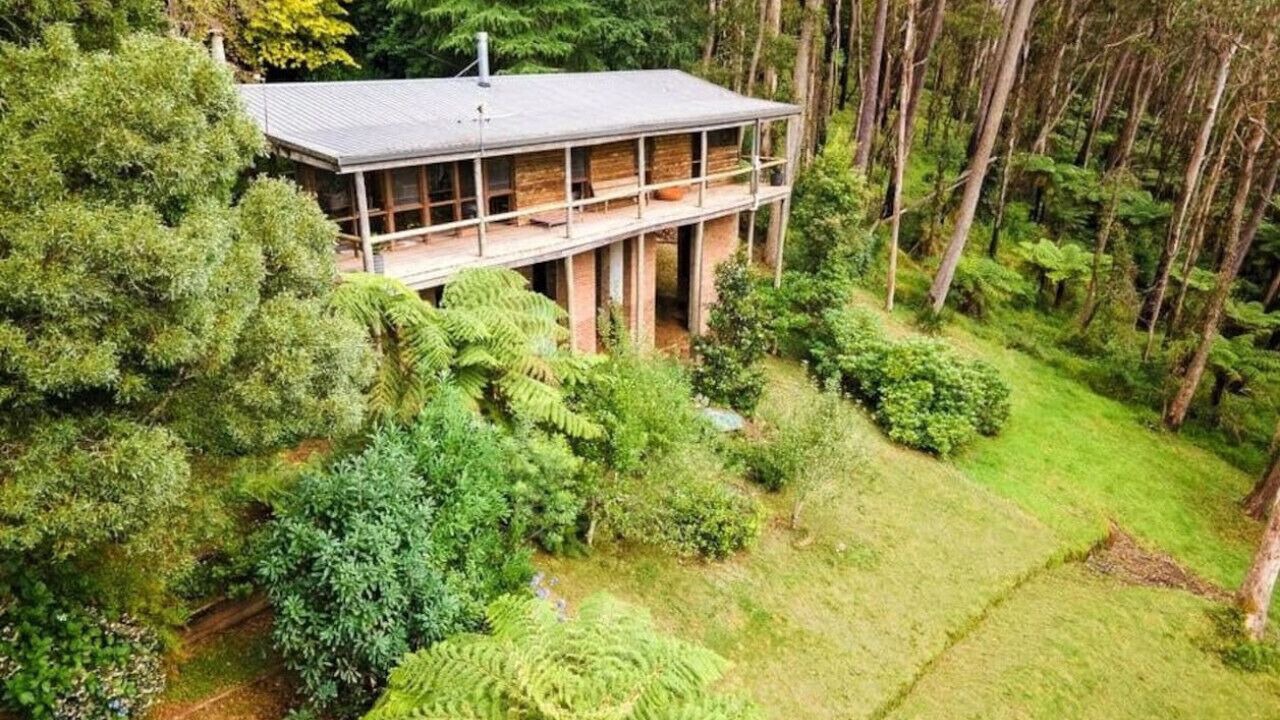 Photo of Outdoor in Mount Wilson