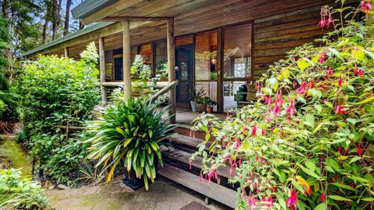 Photo of Outdoor in Mount Wilson