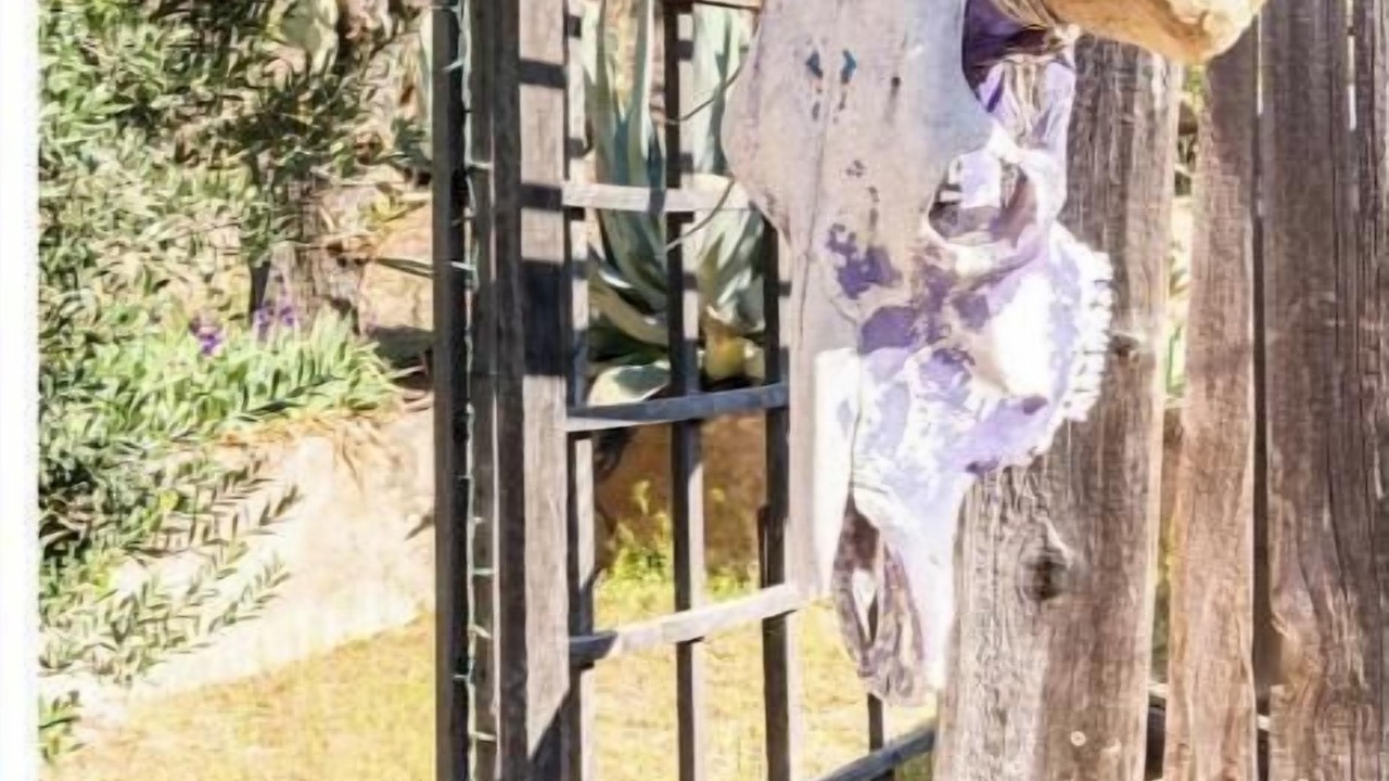 Photo of Outdoor in Bisbee