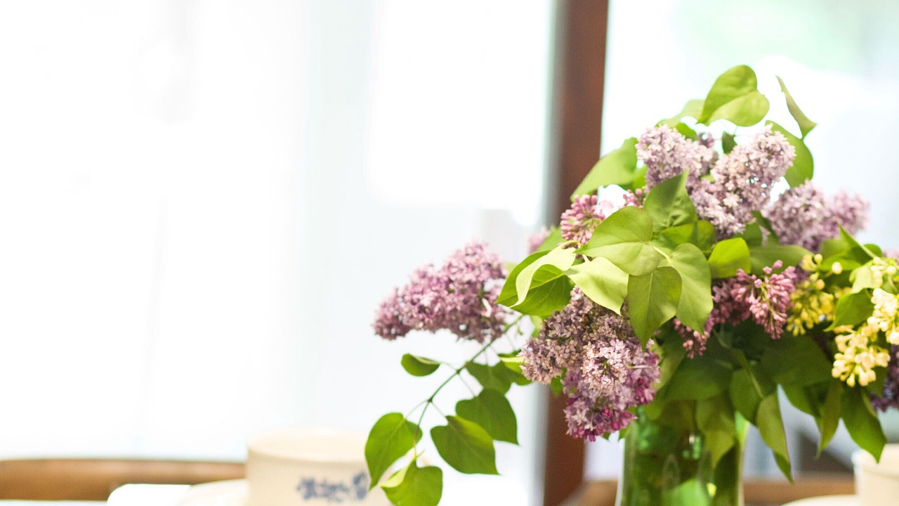 Photo of Others in Schroon Lake