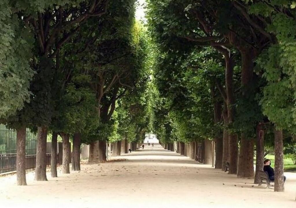 Photo of Others in 5th Arrondissement