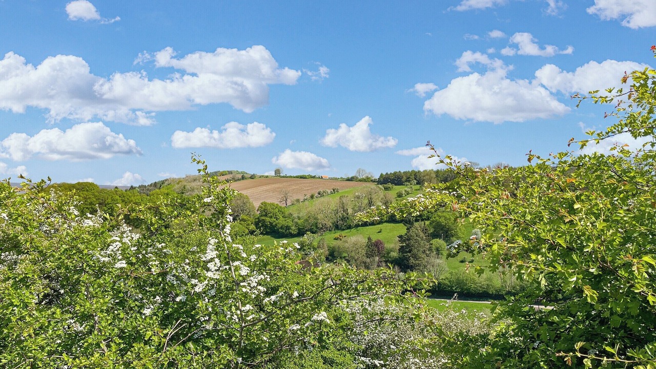 Photo of Others in North York Moors National Park
