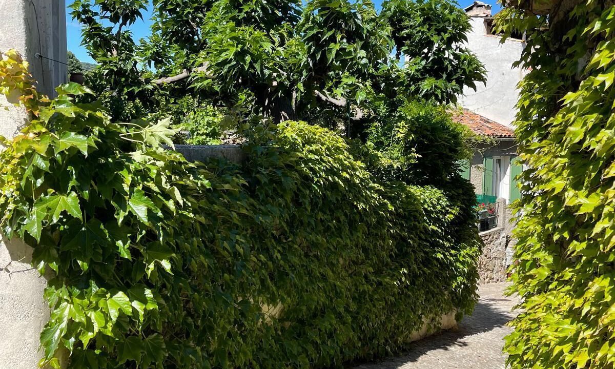 Photo of Outdoor in Plan-de-la-Tour