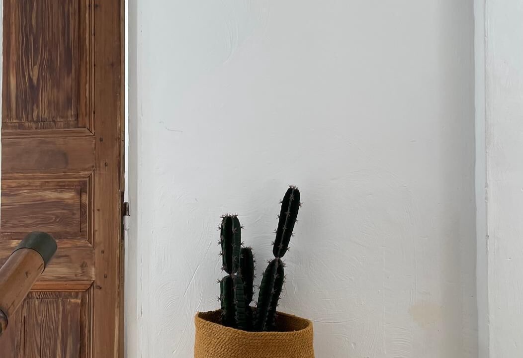 Photo of Others in Plan-de-la-Tour