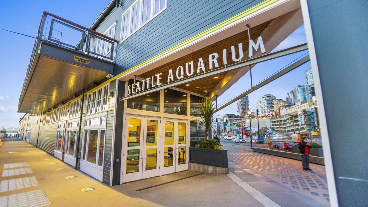 Photo of Outdoor in Downtown Seattle