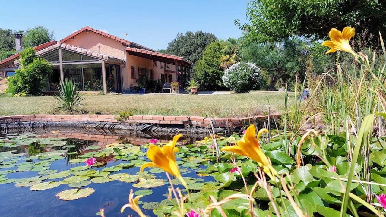 Photo of Outdoor in Monties