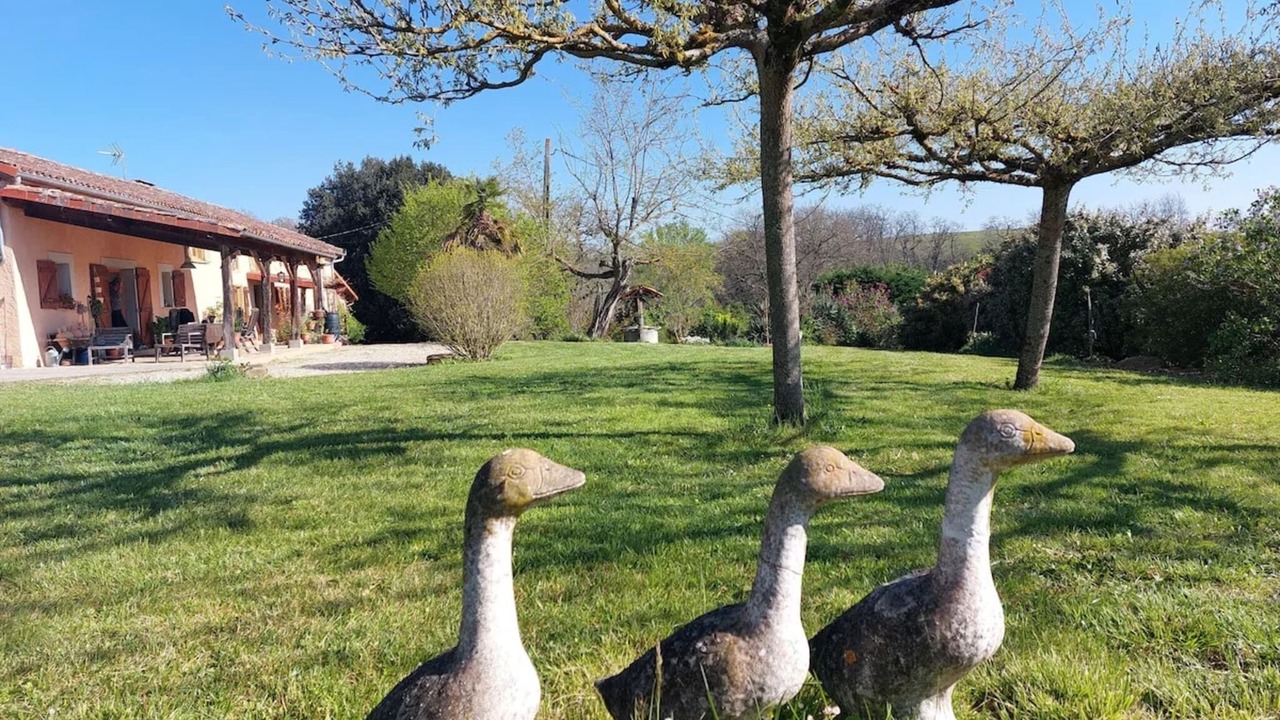 Photo of Outdoor in Monties