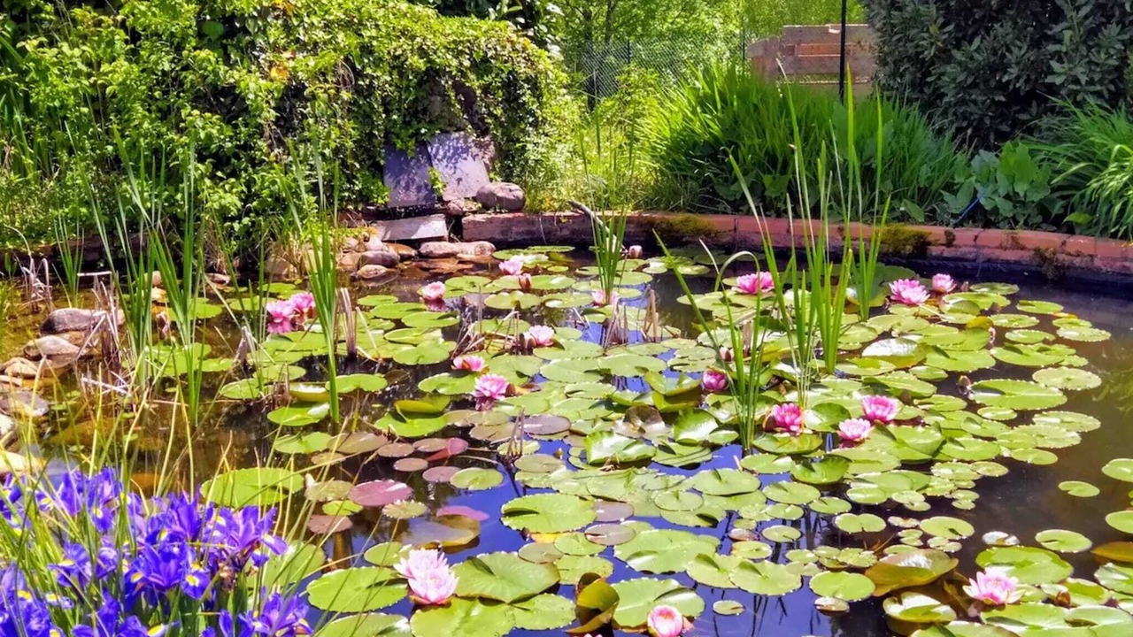 Photo of Outdoor in Monties