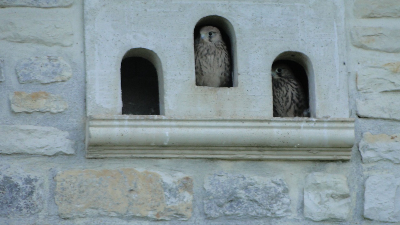 Photo of Outdoor in Bouin