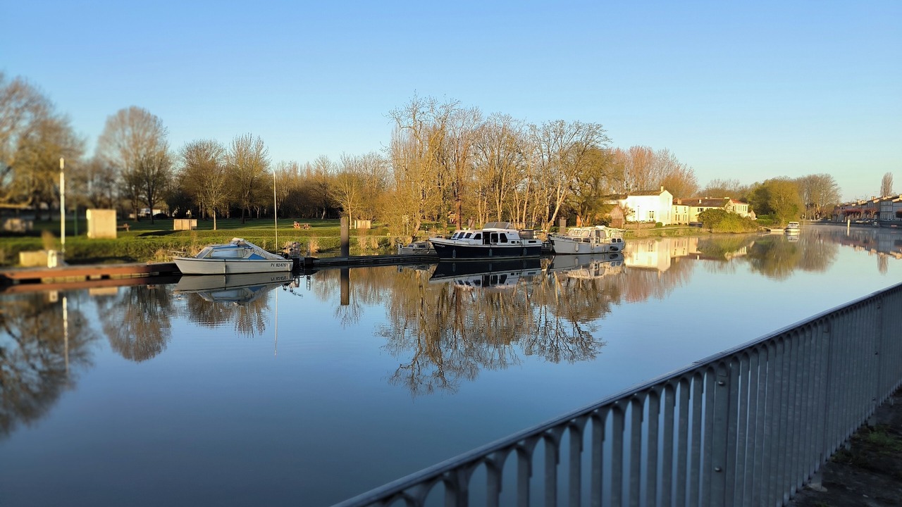 Photo of Others in Saint-Savinien