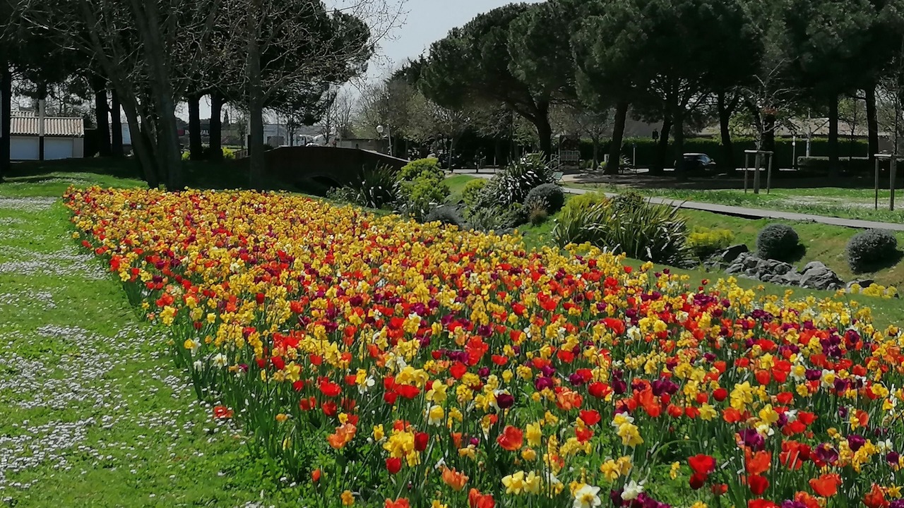 Photo of Outdoor in Blagnac