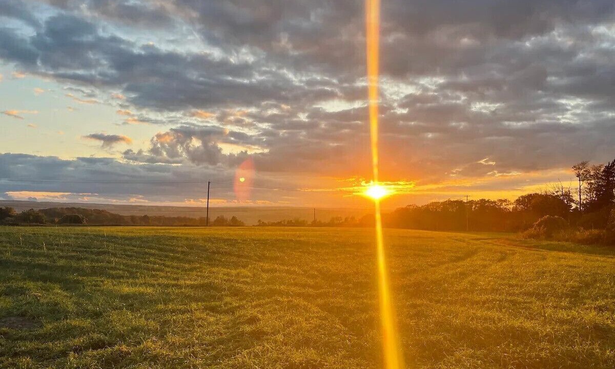 Photo of Others in Skaneateles