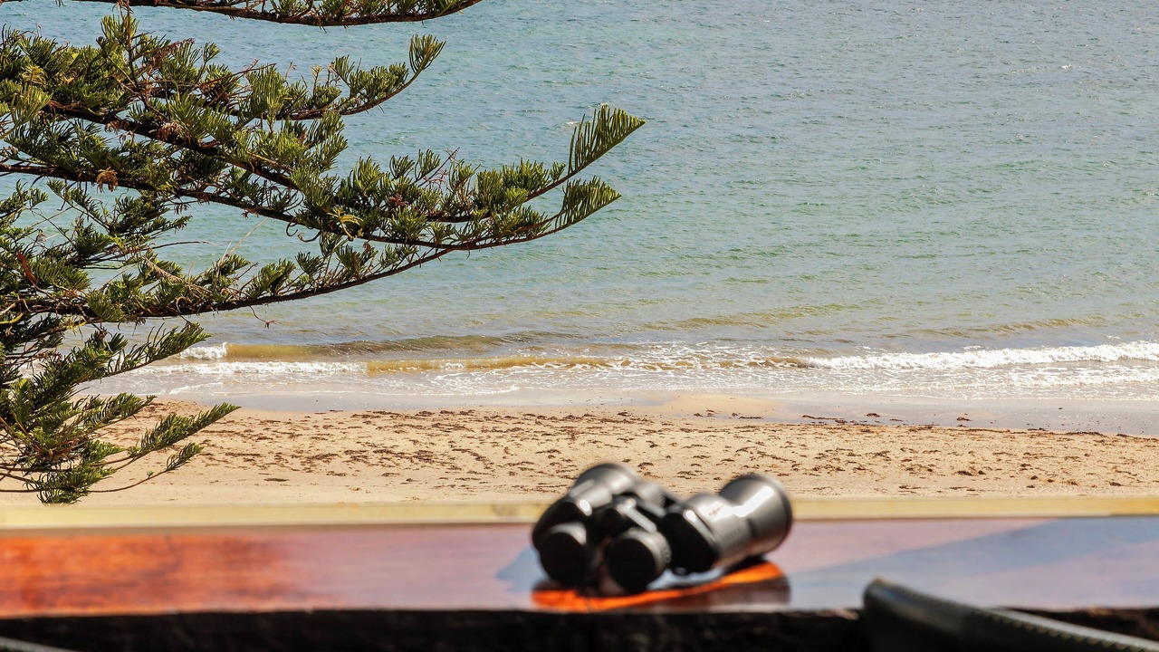 Photo of Others in Glenelg South