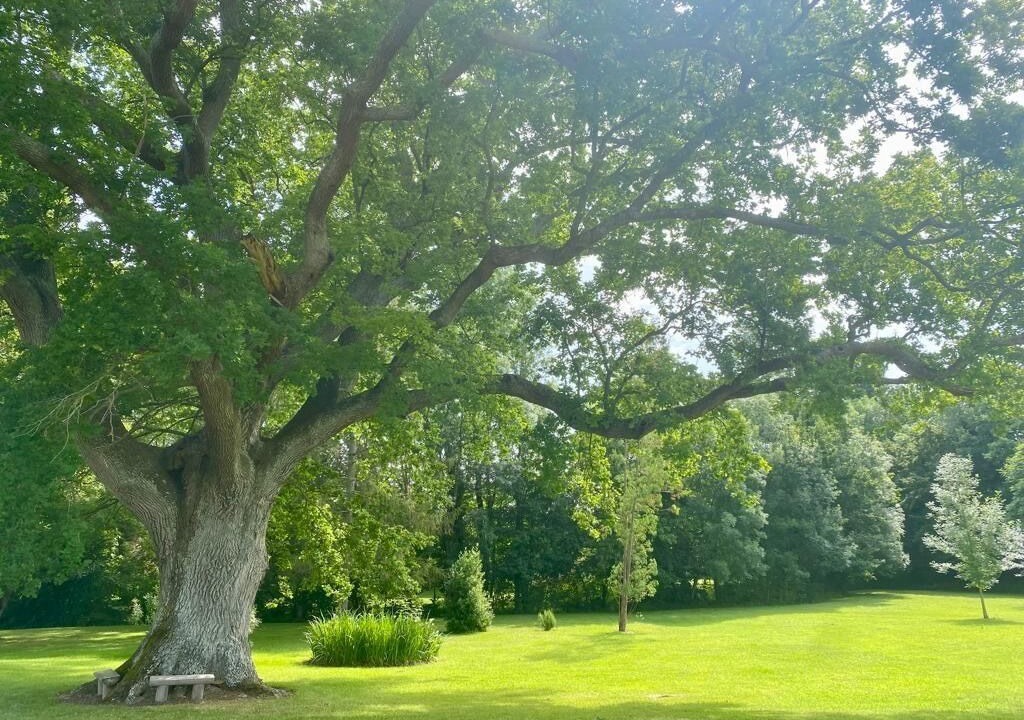 Photo of Others in Moustier