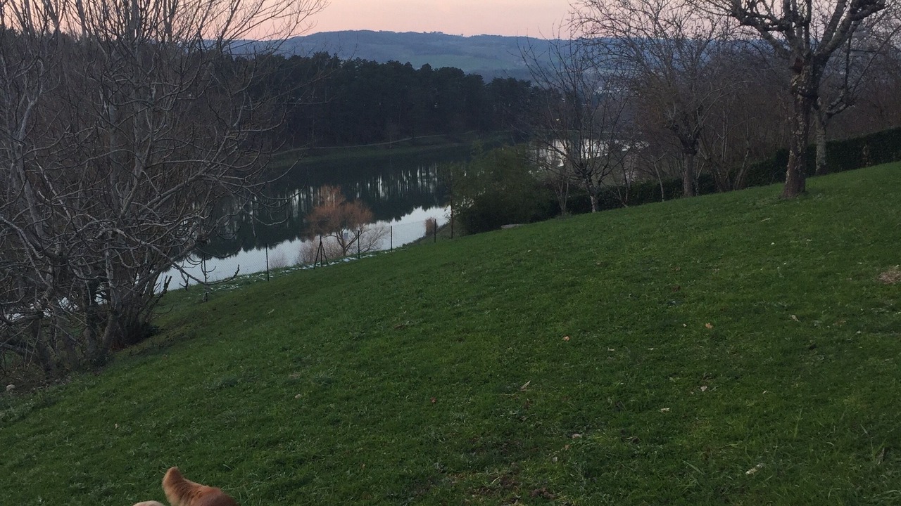 Photo of Outdoor in Graulhet