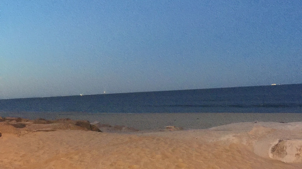 Photo of Others in Sea Bright