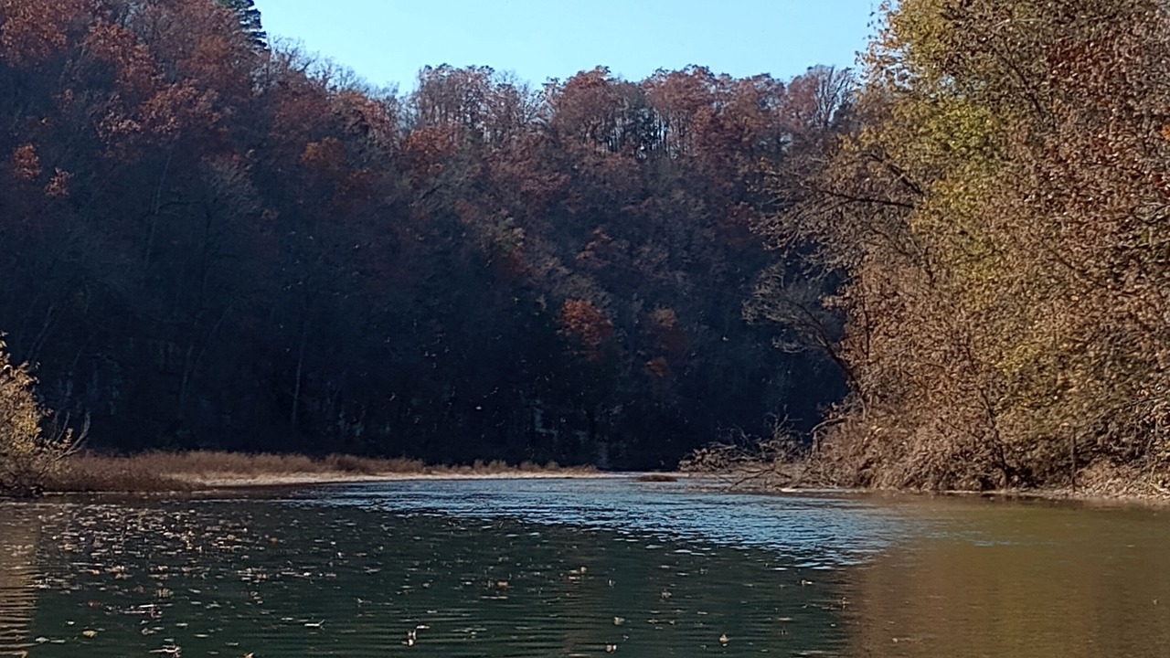 Photo of Others in Tecumseh
