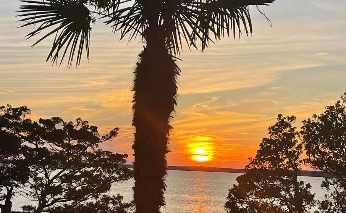 Photo of Others in Flanders