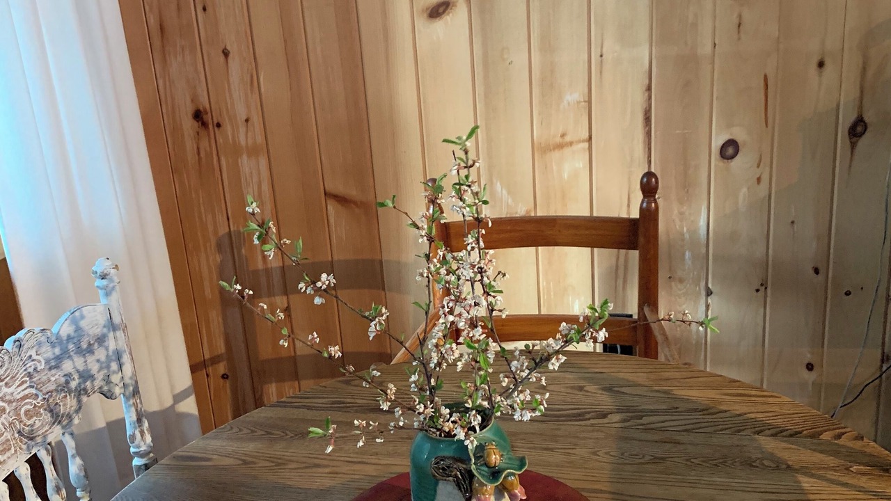 Photo of Others in Willsboro