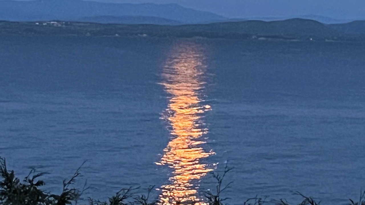 Photo of Others in Willsboro