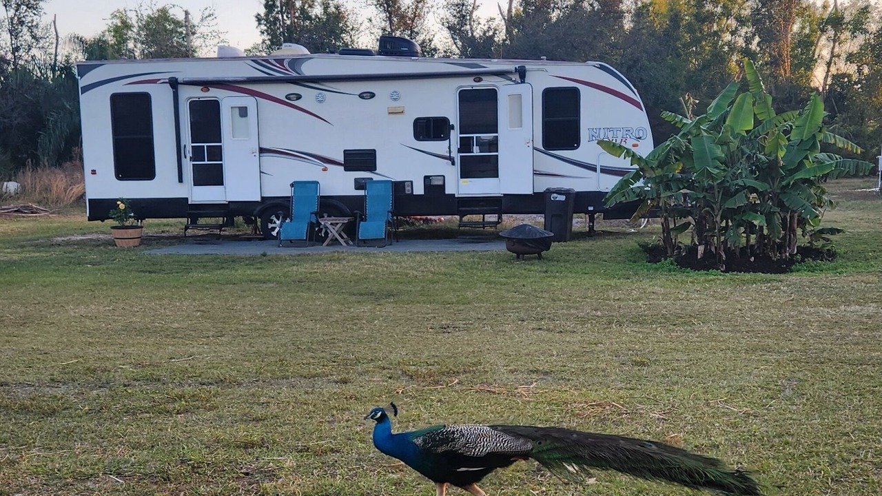 Photo of Outdoor in Bokeelia